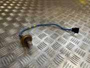 Kabelbaum Dacia Sandero II (SD) 226937054