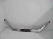 Dachleiste links CITROËN C3 II 1.4 9685374877