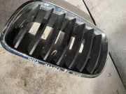 Vorderer oberer Gitter BMW X6 (E71, E72) xDrive 30 d 51317185223
