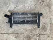 Ladeluftkühler NISSAN NP300 NAVARA (D40) 2.5 dCi 4WD 14461EB360