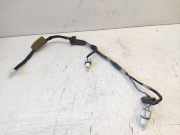 Kennzeichenbeleuchtung NISSAN X-TRAIL (T31) 2.0 dCi