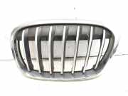 Kühlergrill oben BMW X1 (F48) 7354823