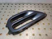 Kühlergrill unten Subaru Legacy V (BM/BR) 57731AG030