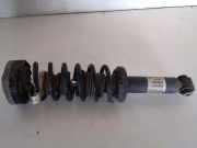Stoßdämpfer hinten links BMW X3 (F25) xDrive 30 d 33526796317