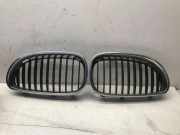 Gitter Grill vorne links BMW 5 Touring (E61) 530 d