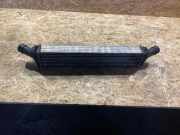 Ladeluftkühler AUDI A8 D4 (4H_) 3.0 TDI quattro 8K0145805E