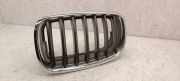 Vorderer oberer Gitter BMW X5 (E70) 3.0 sd 7171395
