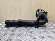 Ansaugbrücke RENAULT TRAFIC II Furgon (FL) 2.0 dCi 115 (FL01, FL0U)