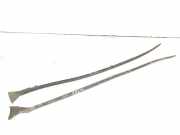 Türgummi rechts vorne Volvo C70 II Cabrio () 30787525