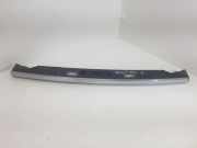Kennzeichenbeleuchtung BMW 7 (F01, F02) 740 d xDrive 7200035