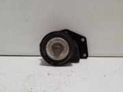 Generatorriemen des Spanners NISSAN PATHFINDER III (R51) 2.5 dCi 4WD