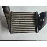 Ladeluftkühler AUDI A4 (8D2, B5) S4 quattro 157561213 059145806