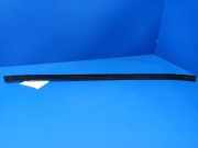 Türgummi links vorne Mercedes-Benz S-Klasse (W140) W140