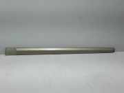 Seitentürleiste links