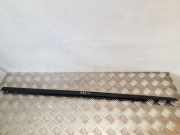 Türverkleidung links hinten Jeep Commander (XH, XK)