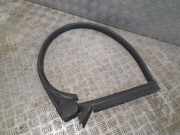 Türgummi links vorne Audi A5 (F53) 8T0845353