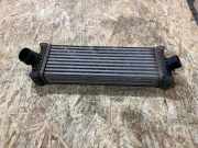 Ladeluftkühler Ford Transit Custom V362 Kasten (FY, FZ) GK216K775AE