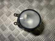Nebelscheinwerfer links TOYOTA RAV 4 III (_A3_) 2.2 D 4WD (ALA30_) 812200D041