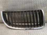Gitter BMW 3 (E90) 320 i 7120008