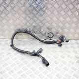 Kabelbaum LAND ROVER RANGE ROVER IV (L405) 3.0 D 4x4 N/A