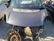 Motorhaube FIAT 500L (351_, 352_) 1.4 LPG