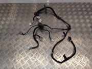 Kabel Tür Nissan Qashqai (J10) 24125JD06C