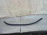 Türgummi links vorne BMW 4er Coupe (F32, F82) 7279747