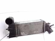 Ladeluftkühler Peugeot 406 Break (8E/F) 9636195580