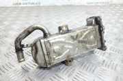 Abgaskühler VW Passat B5.5 (3B3) 03L131512