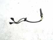 Antenne Dach Kia Sorento I (JC) 957903E940
