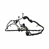 Kabel der vorderen linken Tür FORD Escape III 2.0 EcoBoost J4CP7