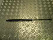 Gasfeder im Kofferraum links RENAULT SCÉNIC III (JZ0/1_) 1.5 dCi 904500004R