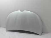 Motorhaube RENAULT ESPACE V (JR_) 1.6 dCi 160 651009856R