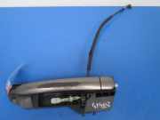 Türgriff links hinten Fiat Bravo II (198)