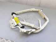 Dach SRS rechts JAGUAR S-TYPE (X200) 2.7 D 2R8314K159AL