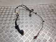 Kabel Tür Renault Twingo II (CN0)