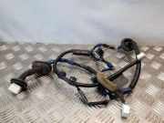 Türverkabelung hinten links TOYOTA LAND CRUISER 120 (_J12_) 3.0 D-4D (KDJ120, KDJ150, KDJ125)