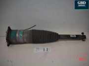 Gasdruckfeder Tesla Model S (5YJS) 600635200C