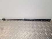 Heckklappendämpfer links VW New Beetle (9C) 1C0827550A