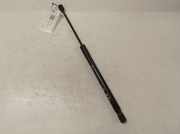 Heckklappe Gasdruckfeder links VW GOLF PLUS (5M1, 521) 1.9 TDI 0208900550N