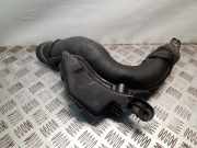 LUFTANSAUGKANAL-TEIL NISSAN JUKE (F15) 1.6 70390750