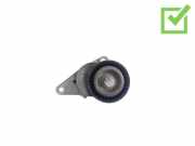 Generatorriemen des Spanners PEUGEOT 1007 (KM_) 1.4