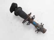 Stoßdämpfer vorne rechts RENAULT LAGUNA III (BT0/1) 2.0 dCi (BT01, BT09, BT12, BT1S) 543025668R