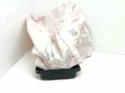 Passenger Safety Bag SRS VW ID.3 (E11) 1st 10A880204F
