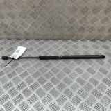 Heckklappe Gasdruckfeder links FIAT 500L (351_, 352_) 1.6 D Multijet 51953757