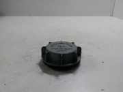 Blende Scheinwerfer rechts Hyundai Trajet (FO)