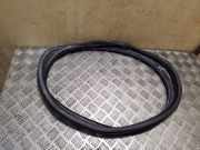 Türgummi links vorne Audi A4 (8K, B8) 8K0831721E