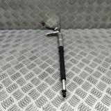 Heckklappendämpfer rechts Land Rover Discovery V (L462) HY32444A32AD