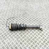 Stoßdämpfer hinten links PORSCHE 911 (997) 3.6 Carrera 4 99733305111