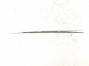 Kotflügelzierleiste hinten rechts